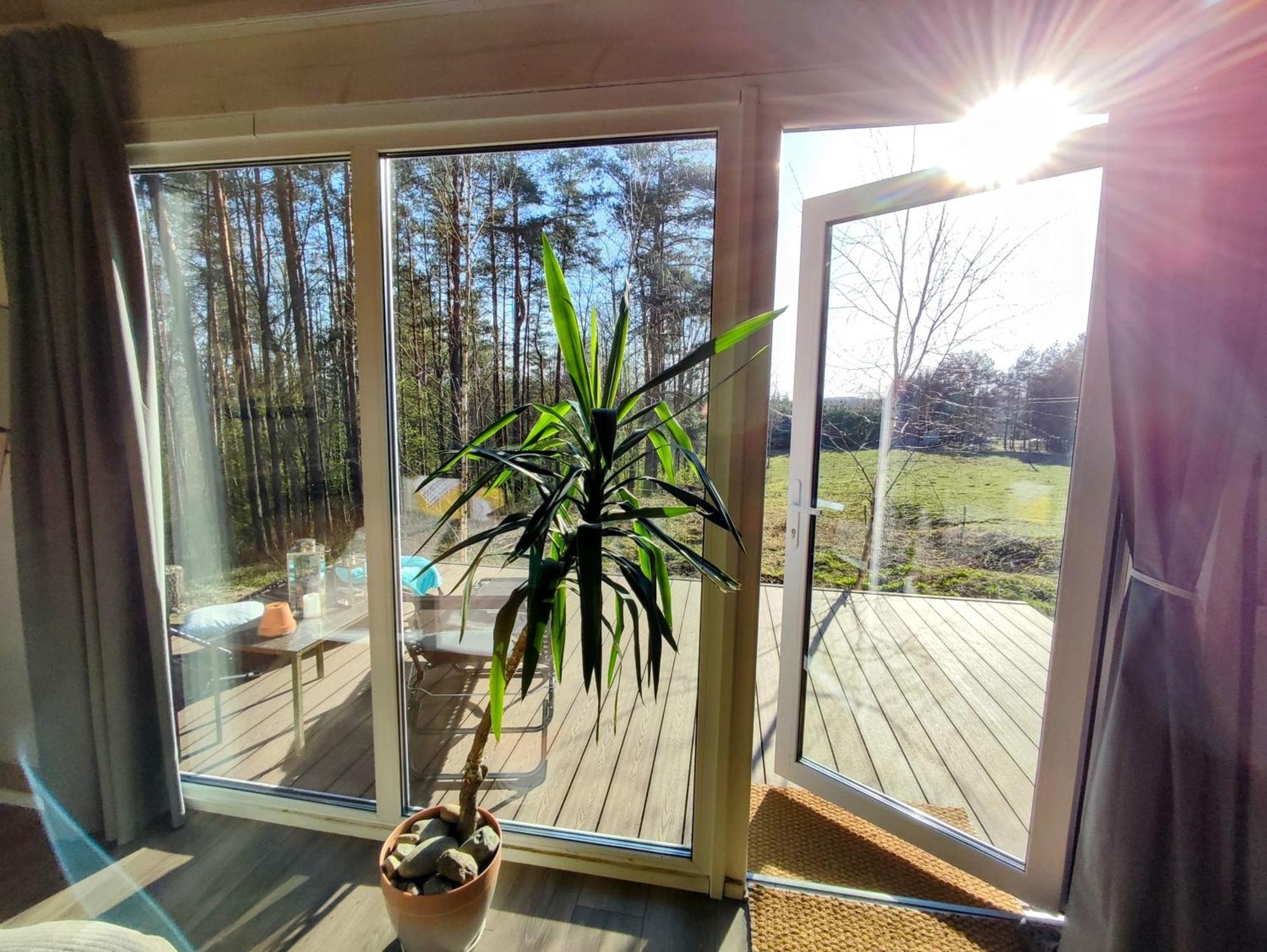 Modern Sauna Cabin In Horse Ranch Liyeplauke Exterior photo